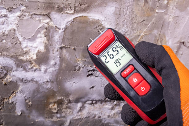 Best Mold Testing  in Tyrone, GA