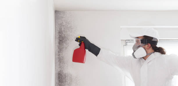 Best Attic Mold Removal  in Tyrone, GA
