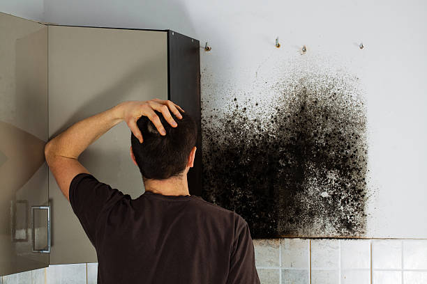 Best Mold Removal Near Me  in Tyrone, GA